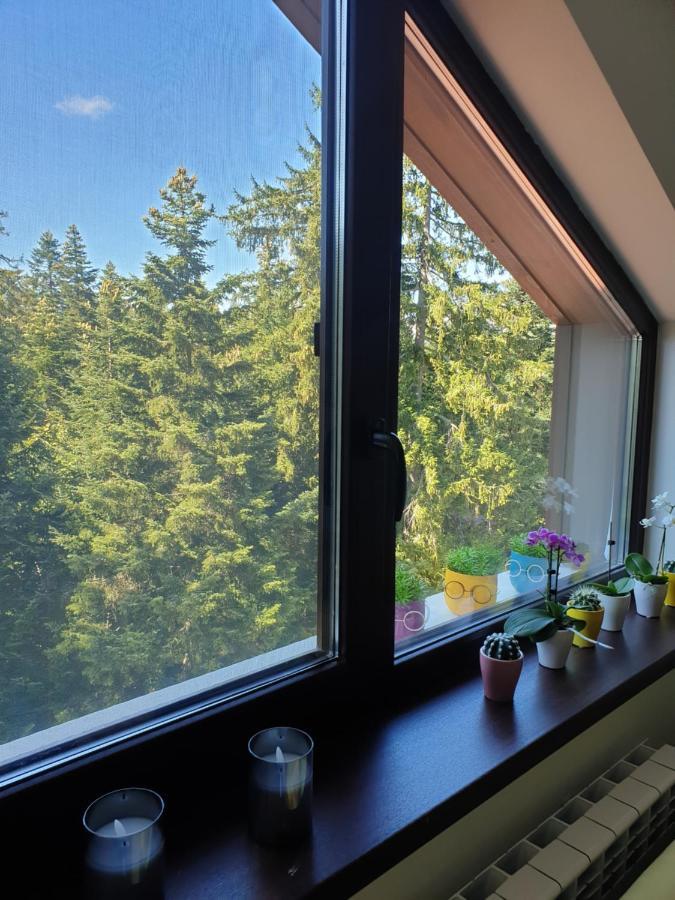 Borovets Cozy Mountain Apartments エクステリア 写真