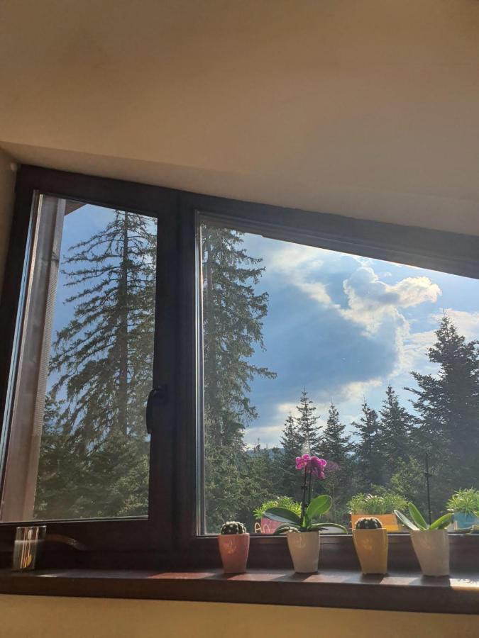 Borovets Cozy Mountain Apartments エクステリア 写真